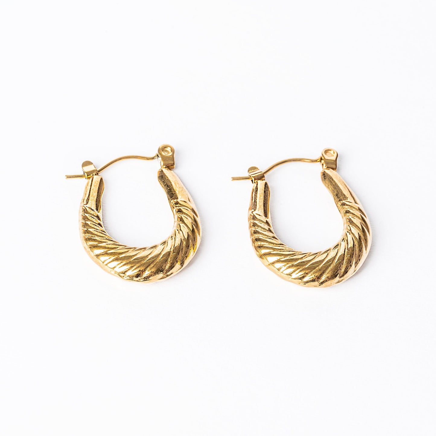 Twisted Hoops Earrings
