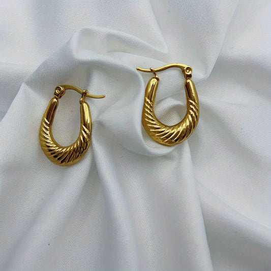 Twisted Hoops Earrings