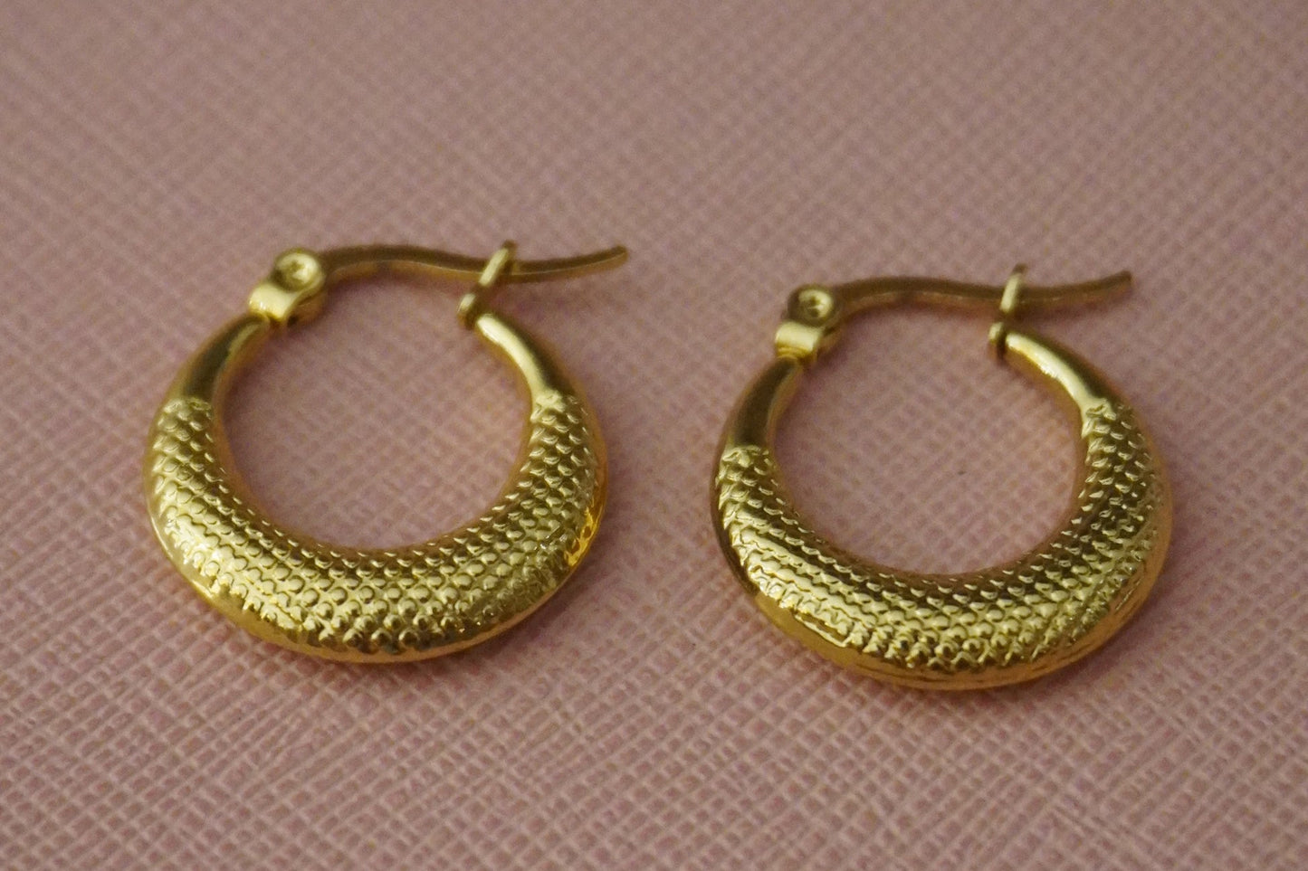 Taxture Hoops Earrings